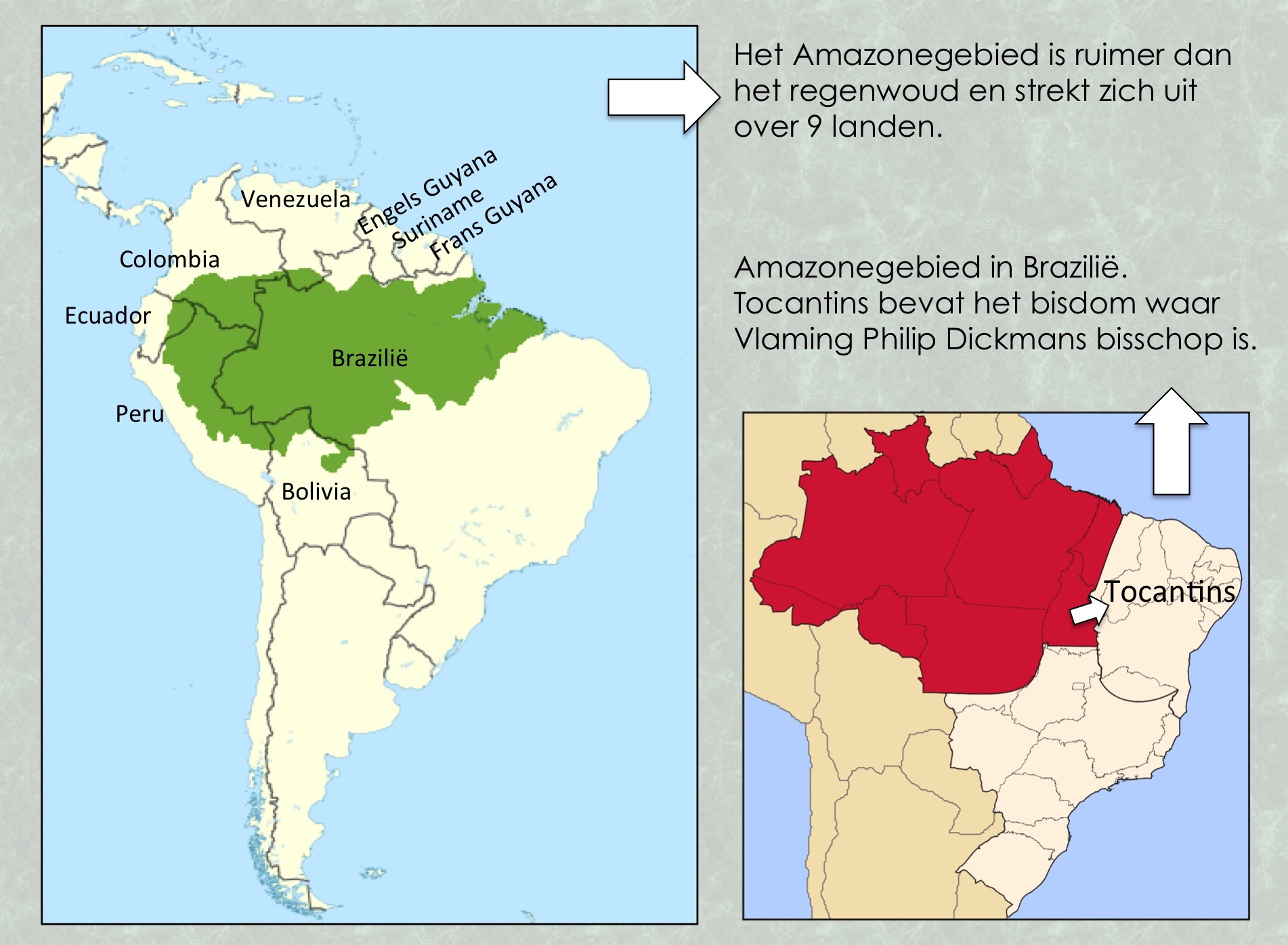 Amazone regenwoud en gebied in Brazilië.