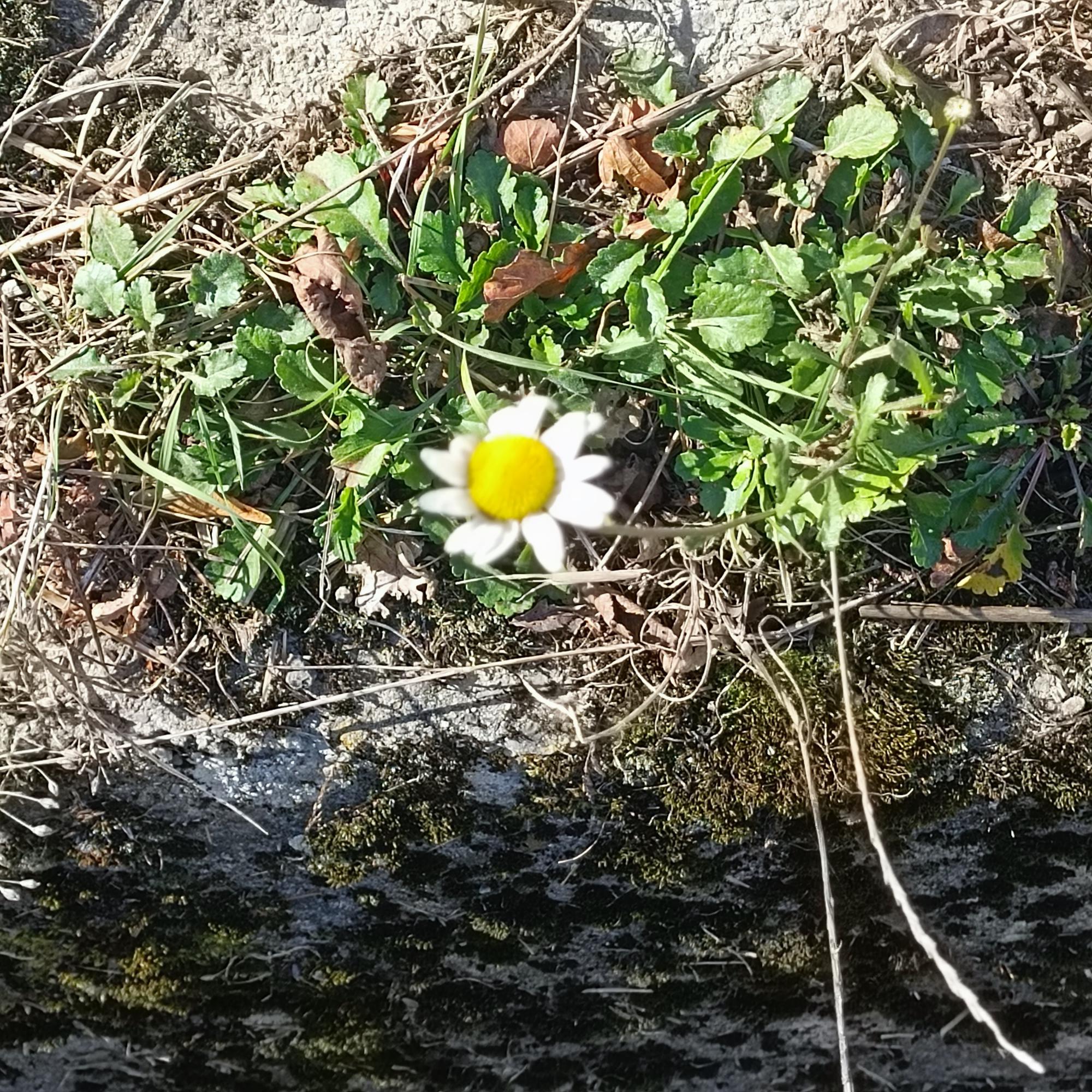 In stilte heb je meer oog voor details, ook in de natuur.