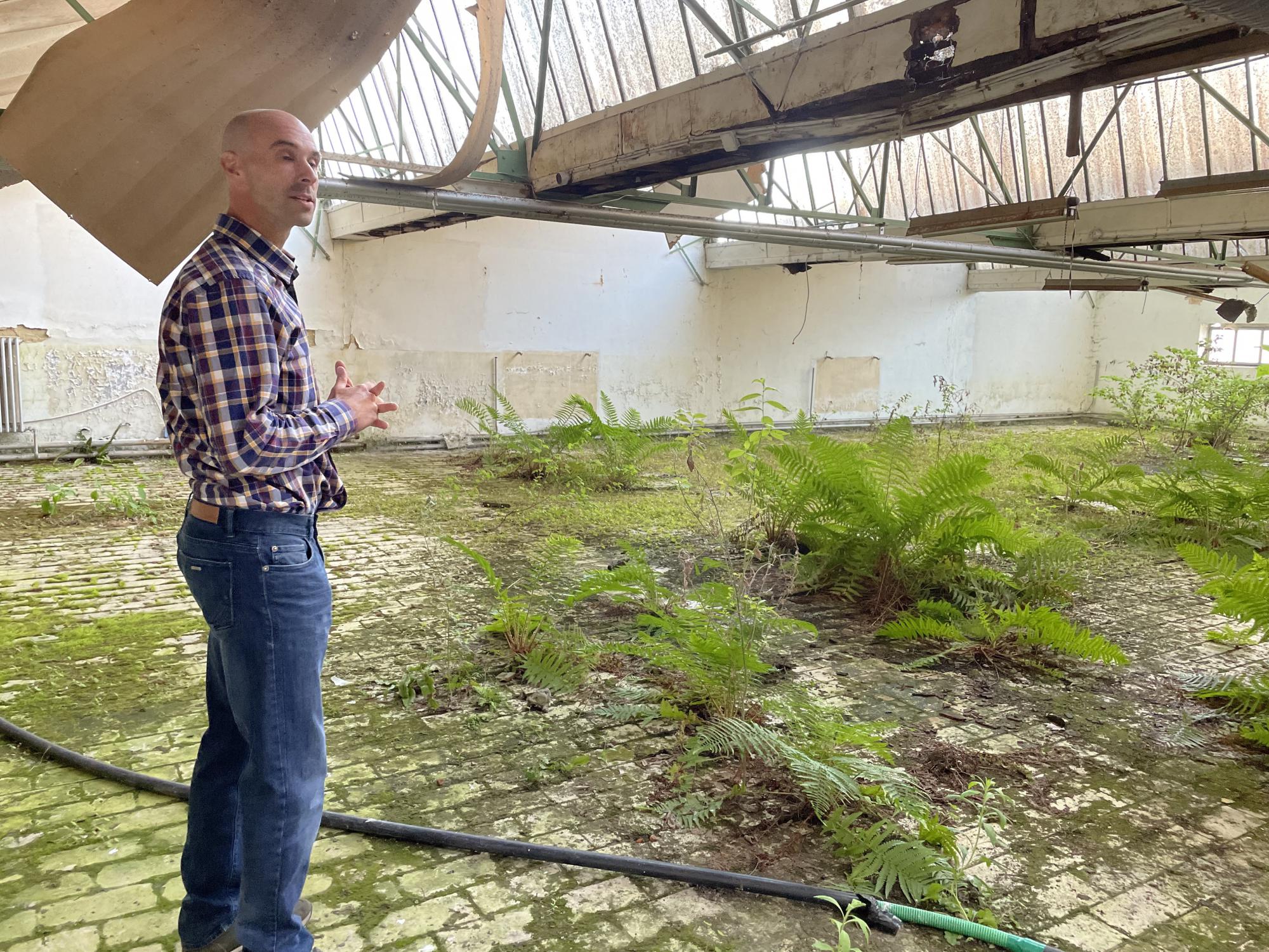 De natuur neemt het over in de oude lingeriefabriek van Velba, maar dat vindt Tom Verhoeven net de gedroomde setting voor kunst.