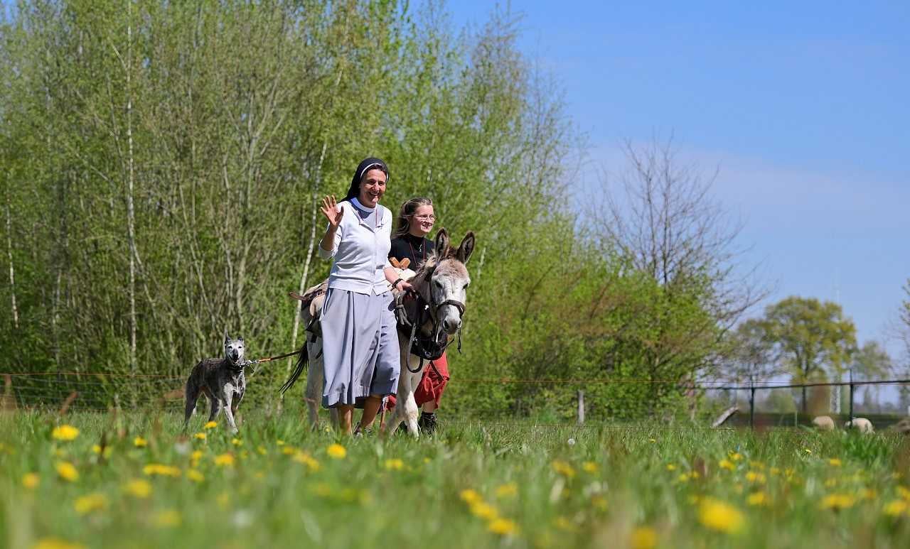 Beeld van 'Ons Kloosterpad', een wandelroute langs 50 kloosters in het Nederlandse Noord-Brabant.