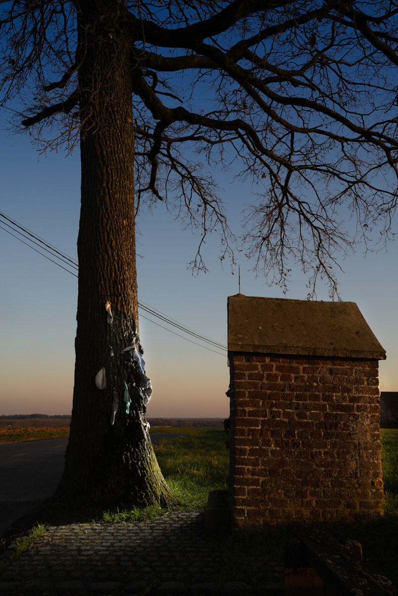 Aan deze eik in Bouvignies (Ath) op de Route de Flobecq, ook de ‘Saint Pierre’ genoemd, worden stukken kleding vastgespijkerd.