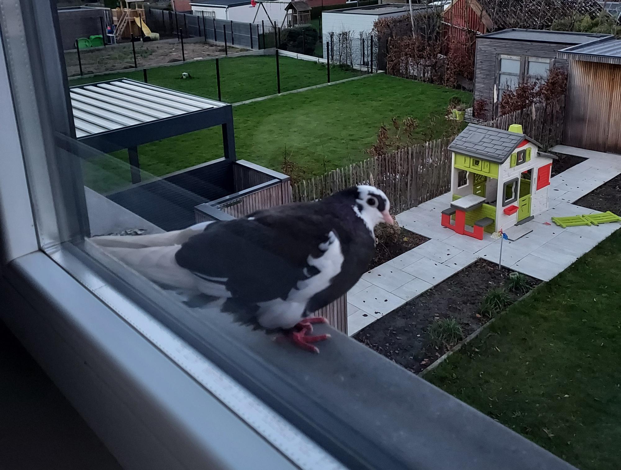 God laat zich niet grijpen om van dan af voor altijd te worden vastgehouden.