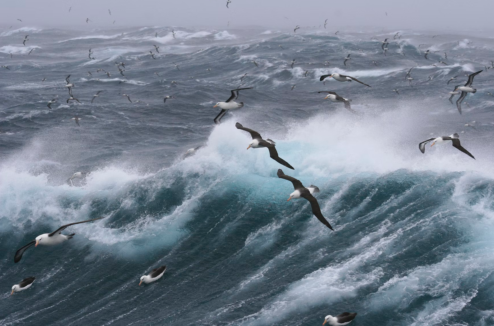 'Inmiddels raast er een heel andere storm over de wereld. Een storm van verwoesting en vernieling, van doden en gewonden, van vluchtelingen die elders een veilige plek zoeken.'