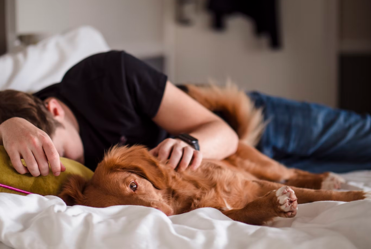 "Alle mensen slapen. Ook dieren hebben hun slaaptijden. Zelfs planten hebben periodes van rust en periodes van activiteit."