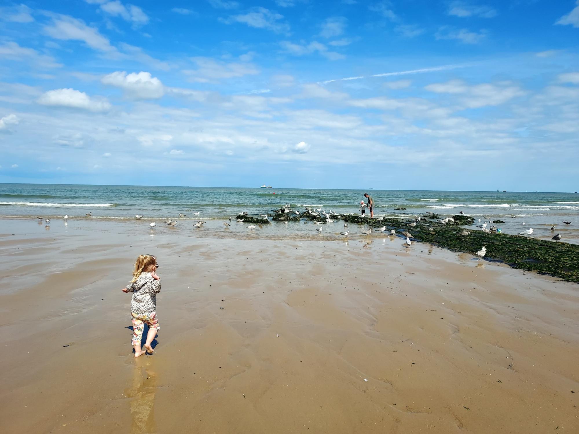 Woordkracht - plant jezelf in de zee