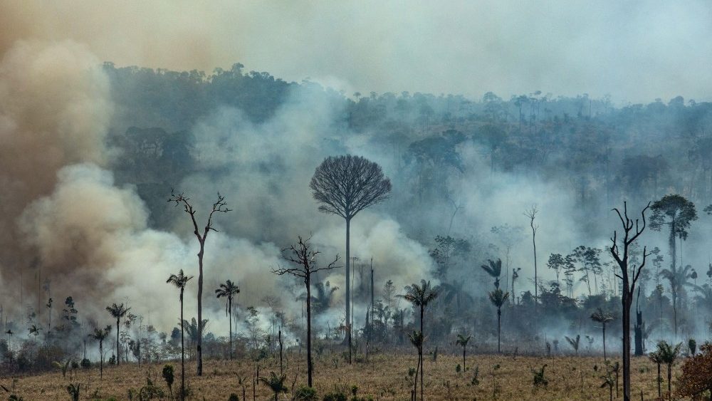 Honderden brandhaarden teisteren het Amazonewoud