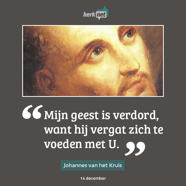 Johannes van het Kruis geschilderd door J. Meganck