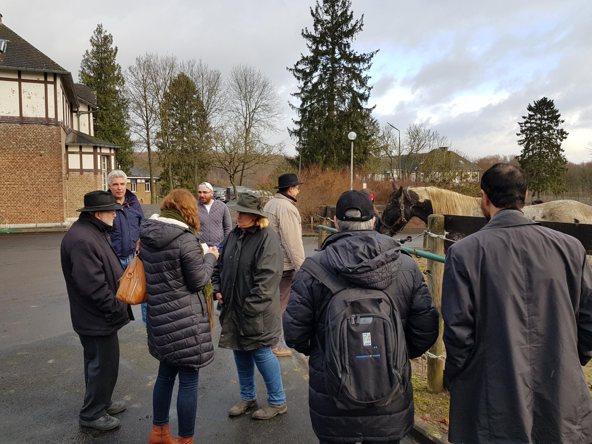 Hippotherapie in de gemeenschapsinstelling in Saint-Servais