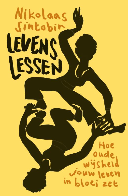 'Levenslessen', boek van Nikolaas Sintobin.