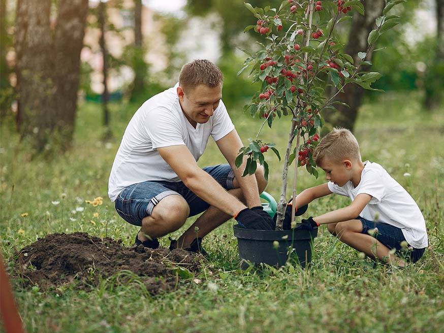 Bomen planten doet ook deugd voor je ziel