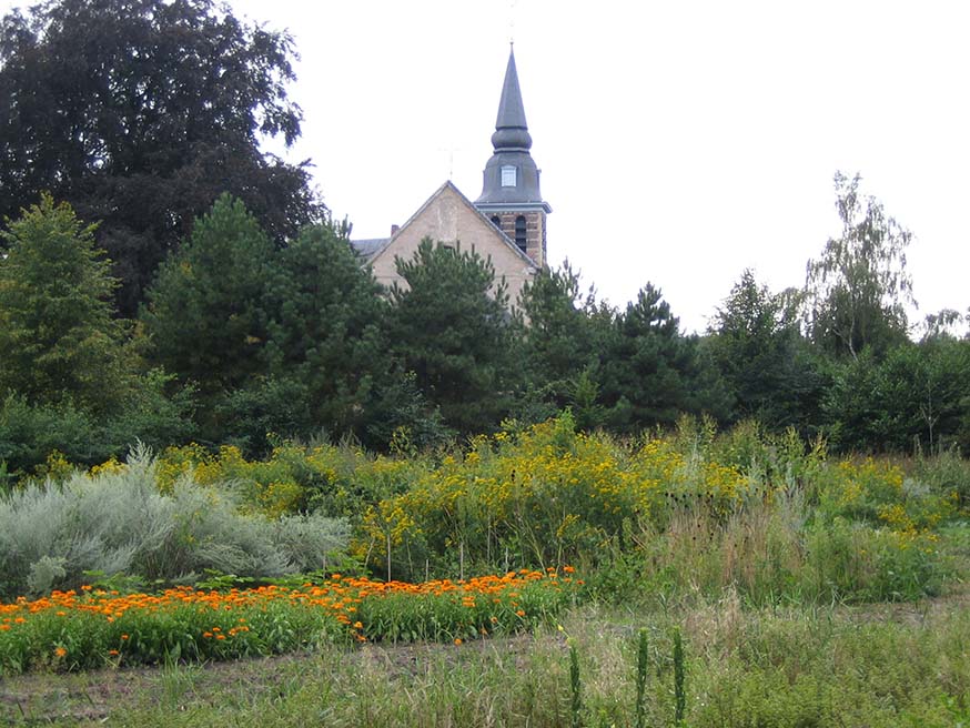 Kruidentuin van de norbertijnenabdij van Postel