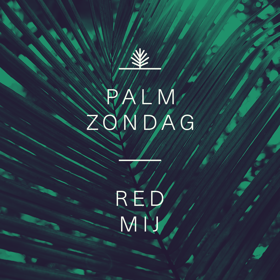 Palmzondag: red mij!