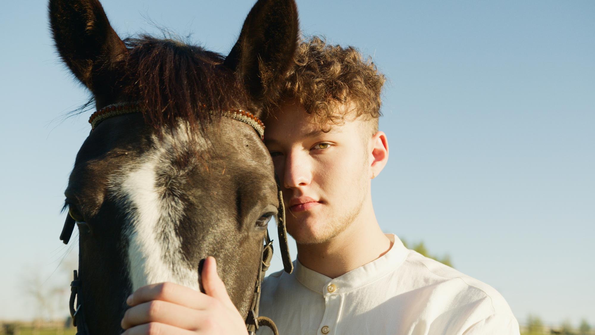 Vooral paarden zijn populair in een psychotherapeutische setting. 