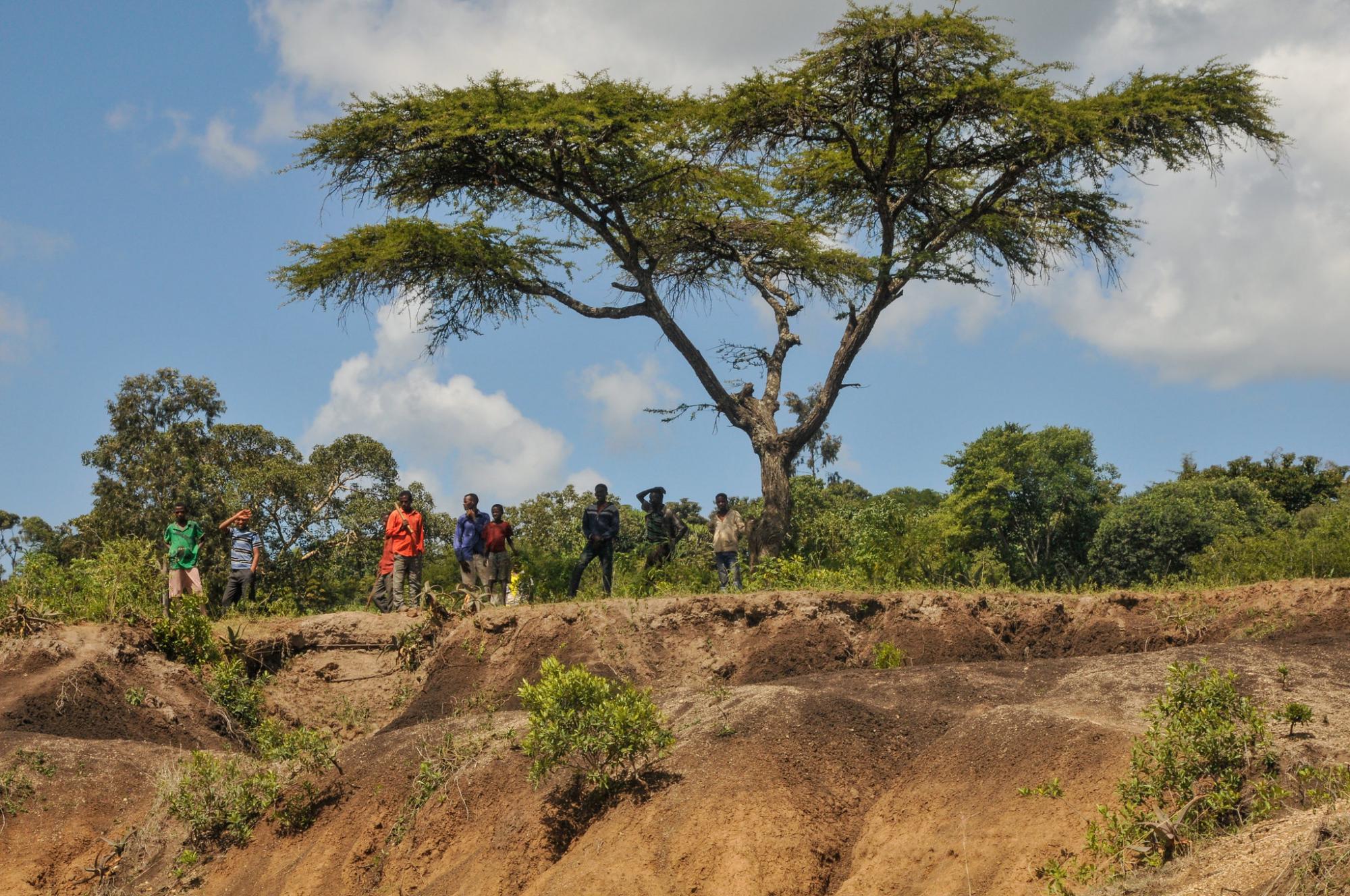 De Great Green Wall in de Sahel is goed op weg om het omvangrijkste wereldwonder te worden.