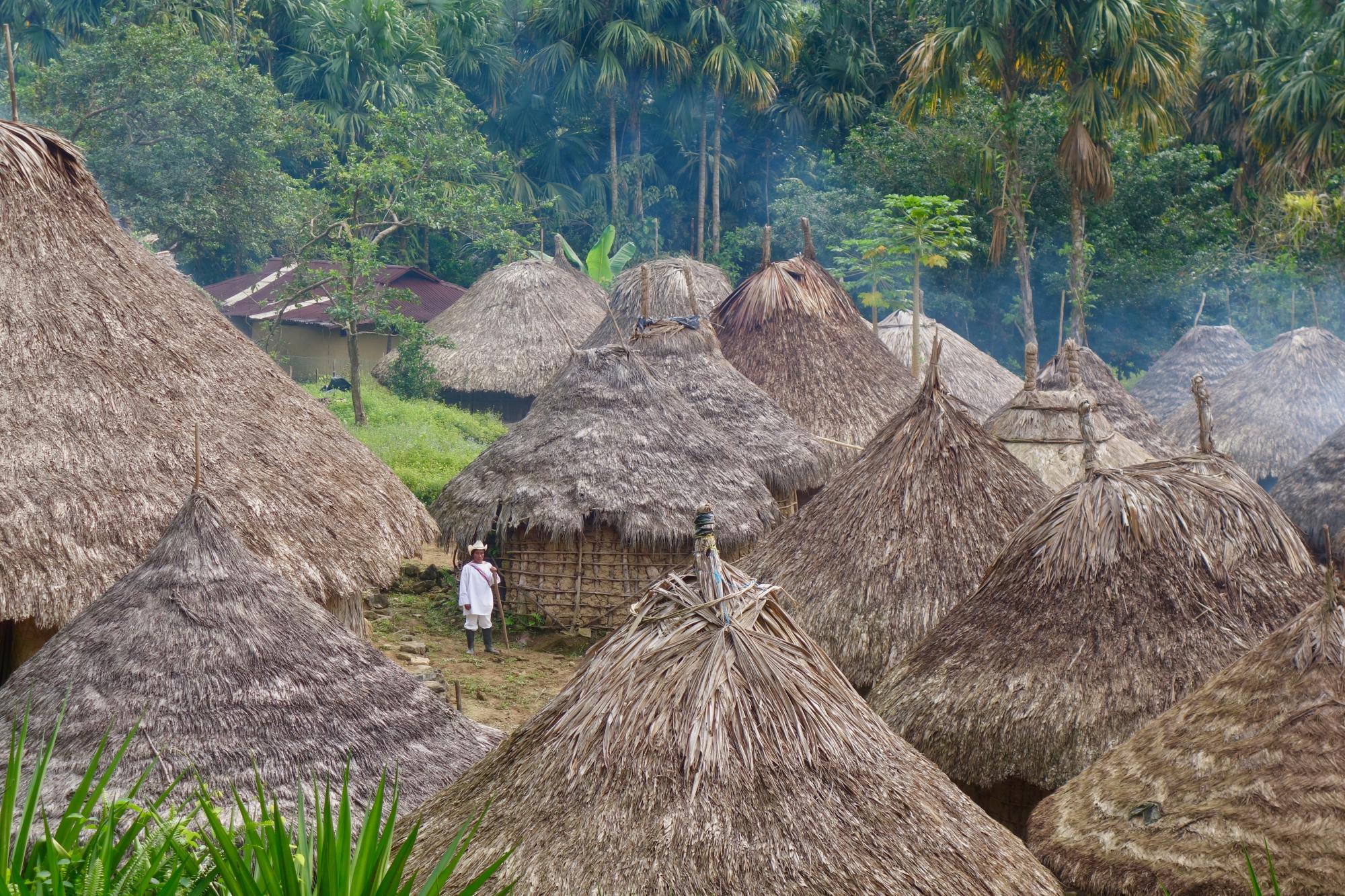 Bewoning in het regenwoud, Peru.