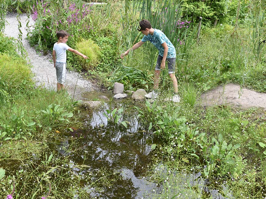 Een waterpartij brengt verkoeling en meer biodiversiteit