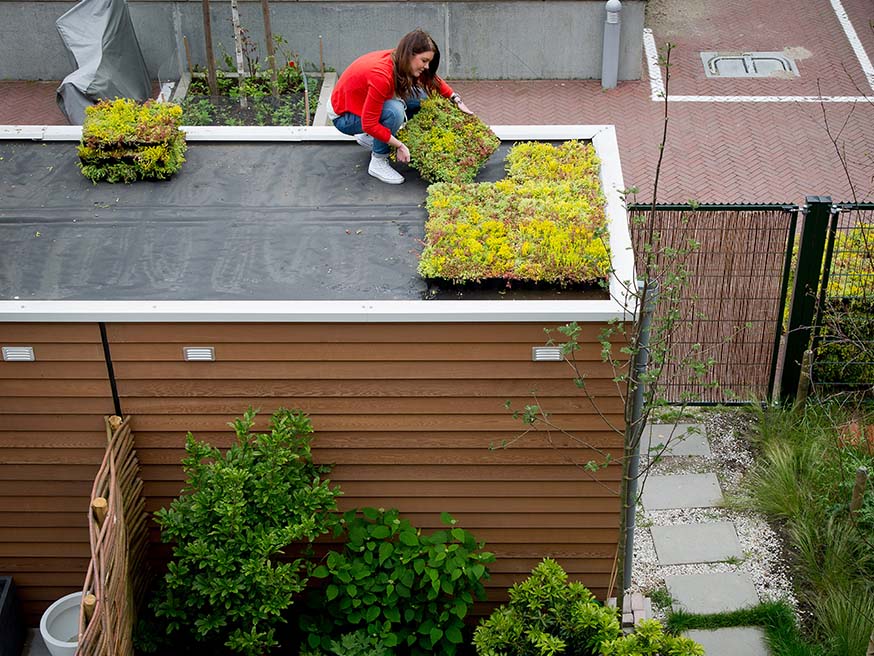 Een extra tuin op je dak heeft veel voordelen