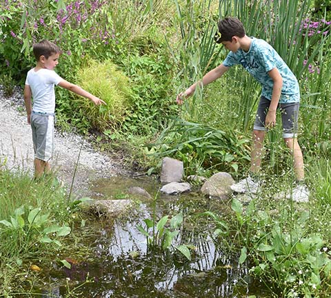 14 foto's en tips om van je tuin een sponstuin te maken