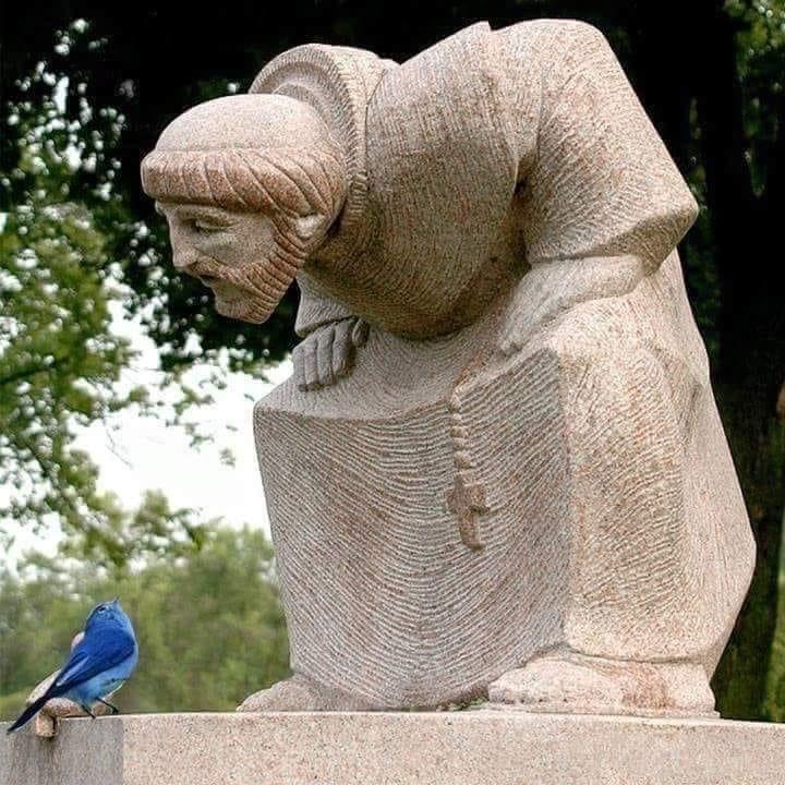 Prachtig standbeeld van Franciscus van Assisi, in Chicago Ilinois, door Frank C. Gaylord