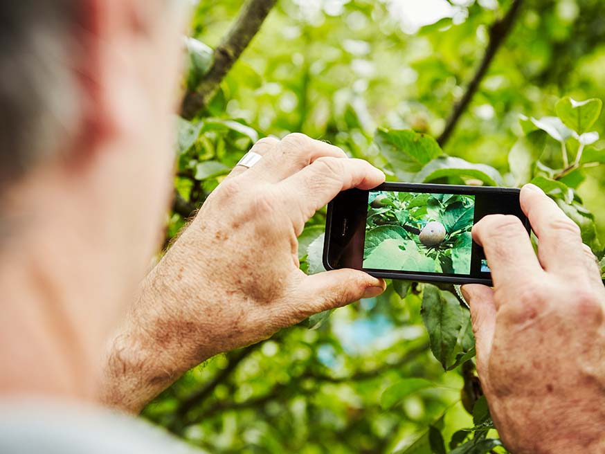 Websites, apps en Facebook-groepen voor slimme tuiniers