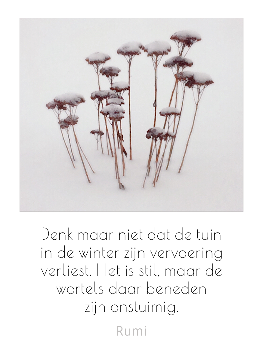 Denk maar niet dat de tuin in de winter zijn vervoering verliest. Het is stil, maar de wortels daar beneden zijn onstuimig.