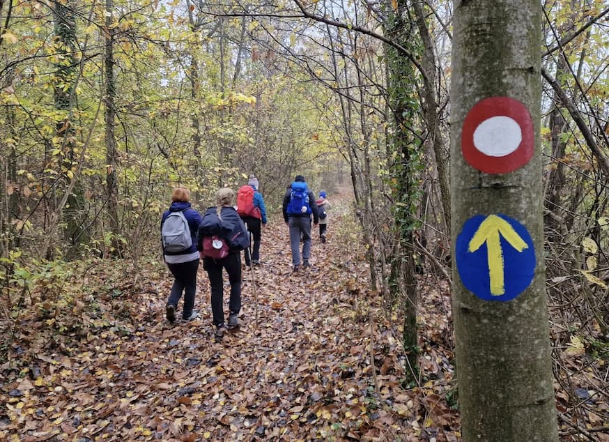 Pelgrims op de Camino door een bos in Banovina, Kroatië