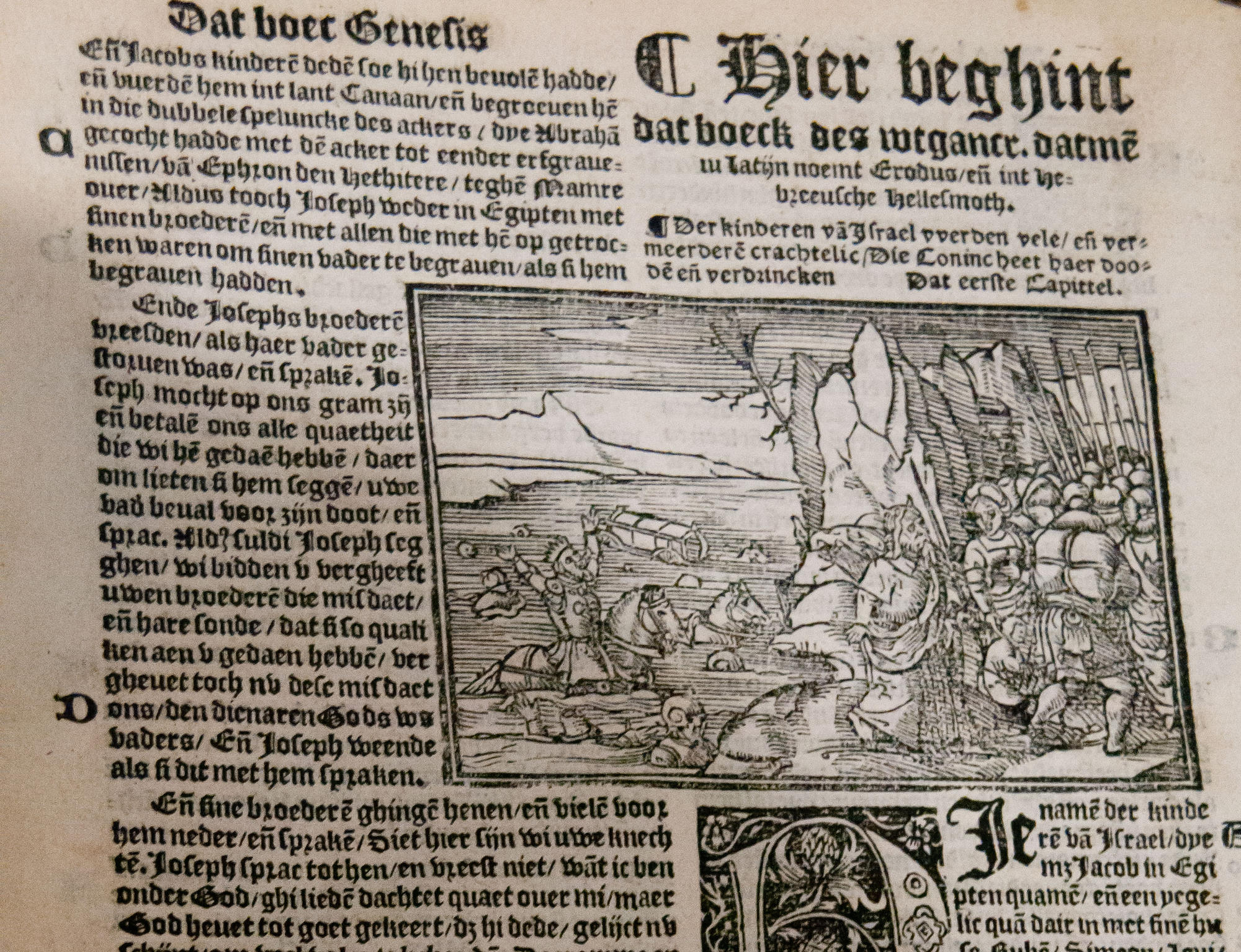 Liesveltbijbel 1542