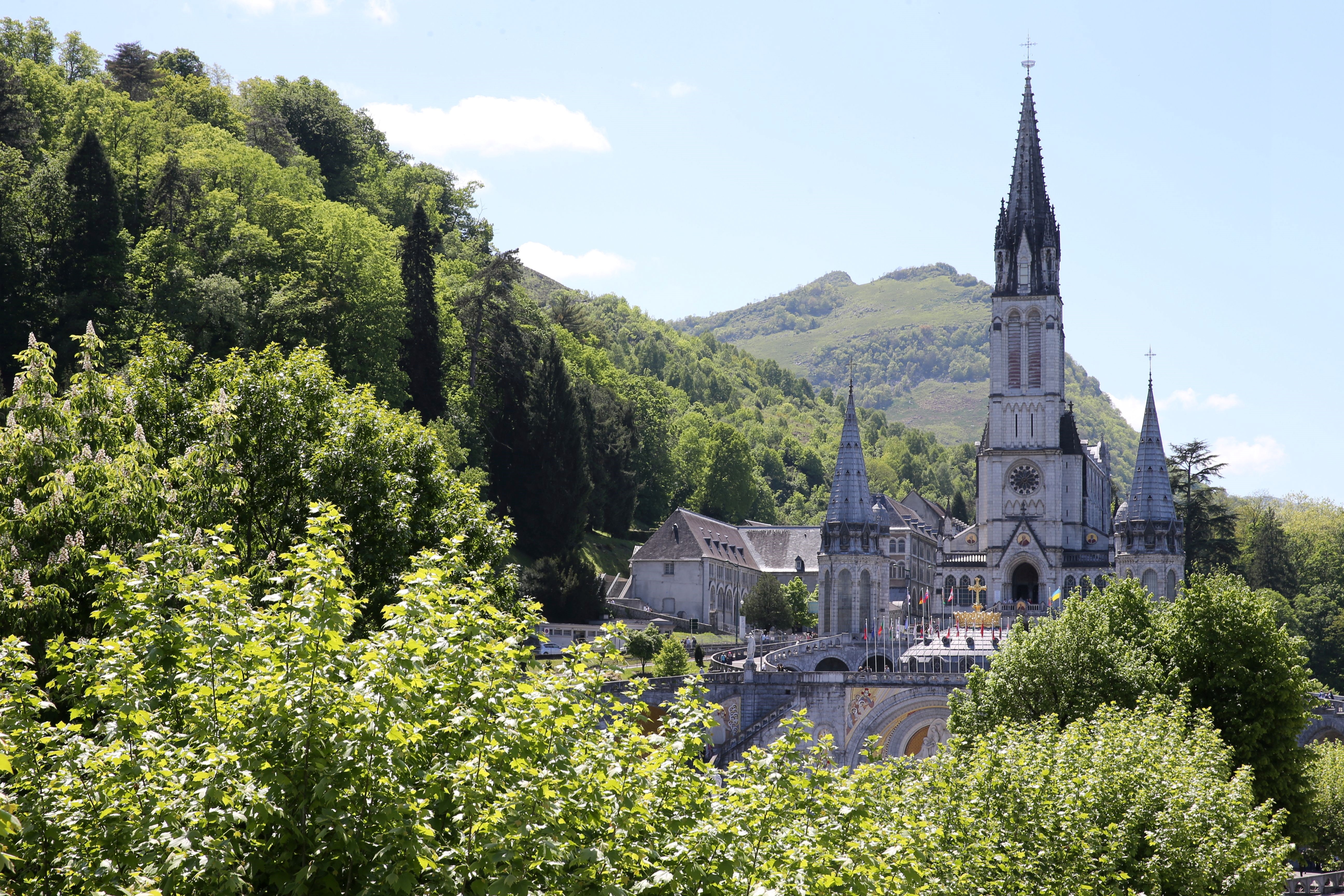 De basiliek van Lourdes