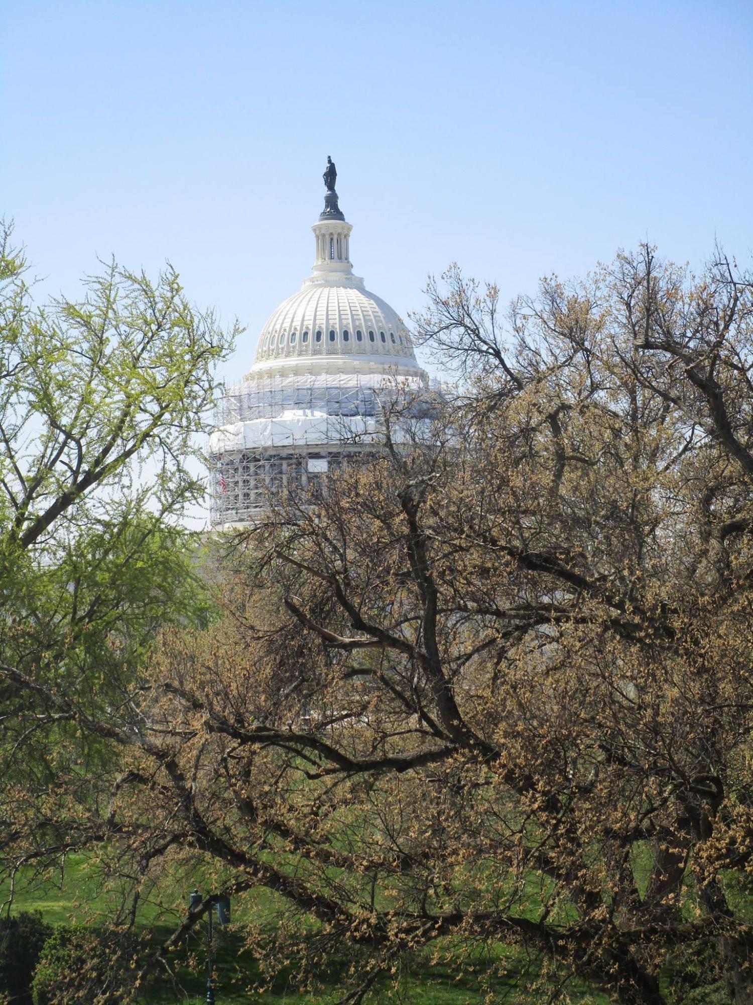 Het Capitool in Washington