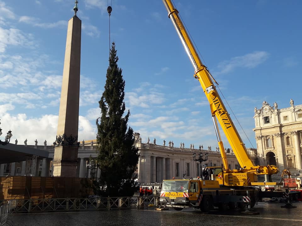 De plaatsing van de kerstboom op het Sint-Pietersplein in Rome