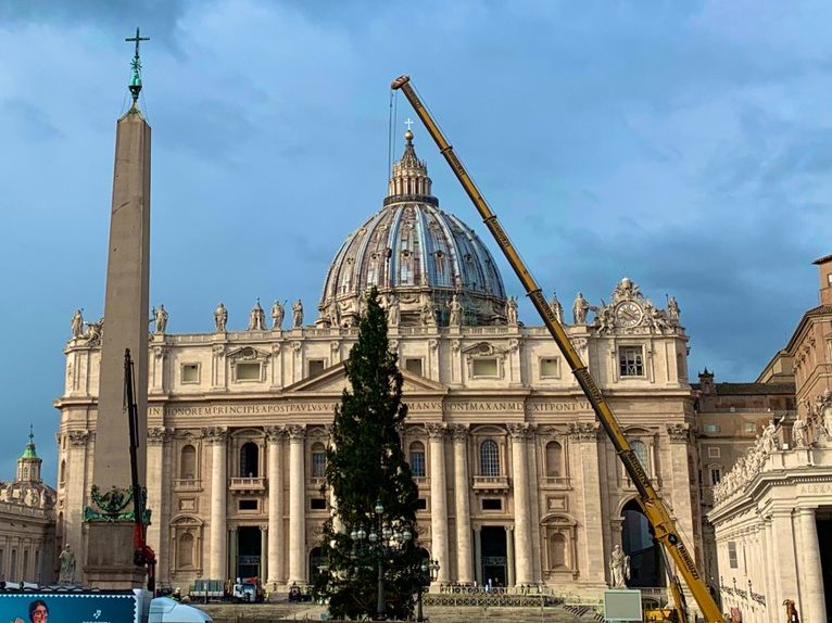 De kerstboom op het Sint-Pietersplein in Rome