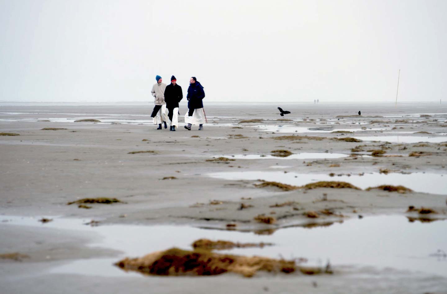 Trappisten keren na 400 jaar terug naar Schiermonnikoog