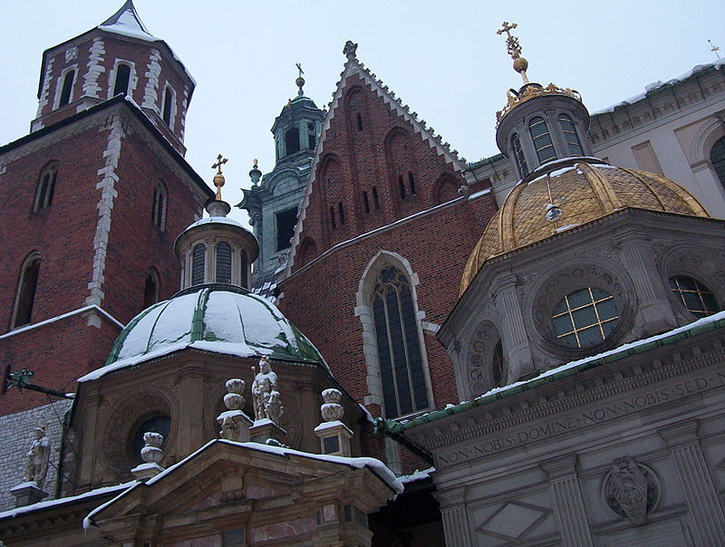 De Wawelkathedraal in Krakau