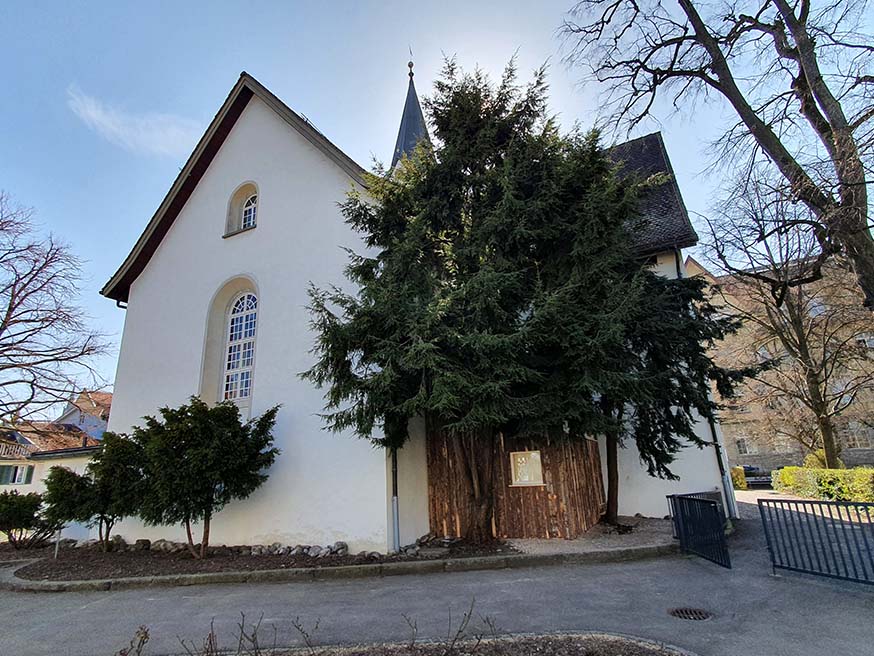 De nieuwe stadskluis – het houten hutje rechts van de kerk – staat vlakbij de plek waar de oorspronkelijke kluis van Wiborada in de 10de eeuw moet hebben gestaan